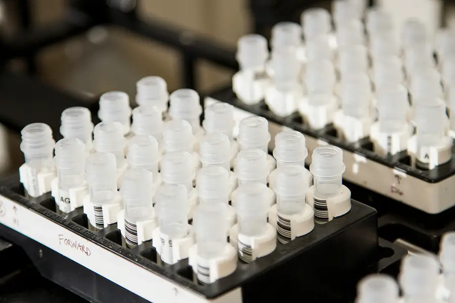 Racks of sterile laboratory vials used for in-vitro research and peptide storage